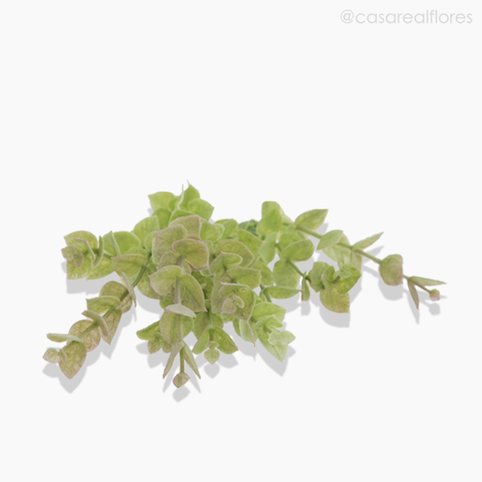 Imagem 4 do produto Galho Eucaliptus Artificial - Verde Claro (9926)