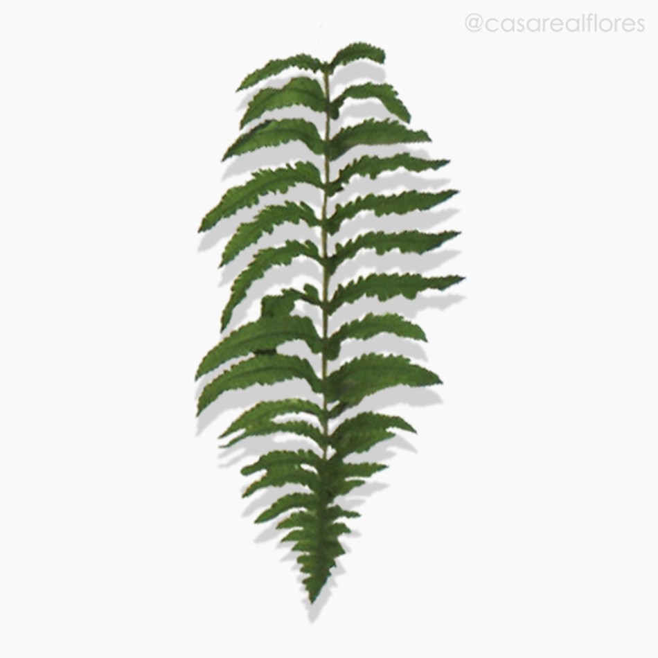 Imagem 4 do produto Galho Folhagem Fern Leaf Artificial - Verde (10039)