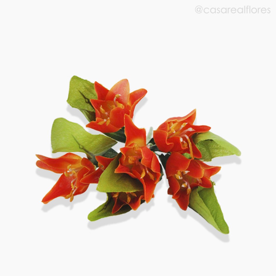 Imagem 3 do produto Buquê Mini Tulipa - Laranja (10782)