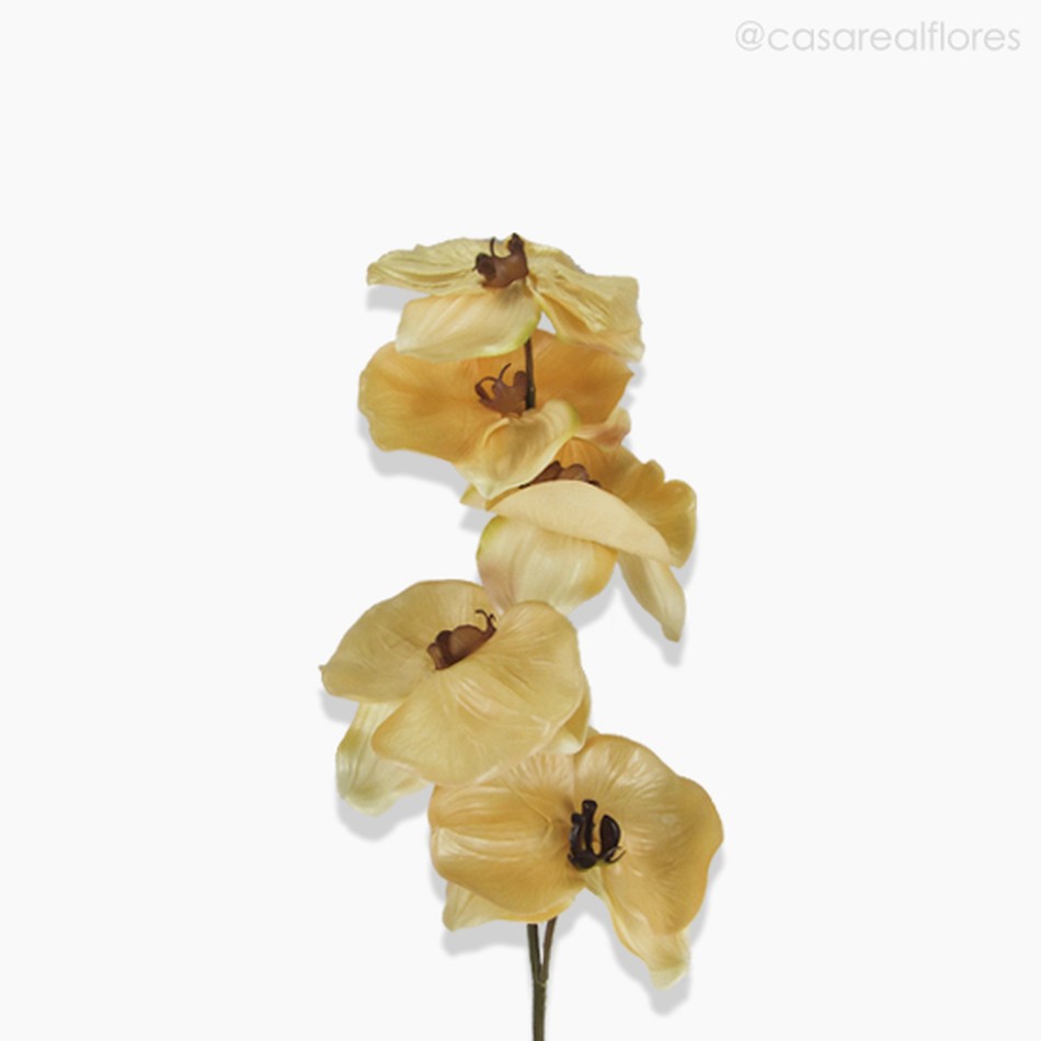 Imagem 2 do produto Galho Orquídea Outonal Artificial - Amarelo Claro (12679)