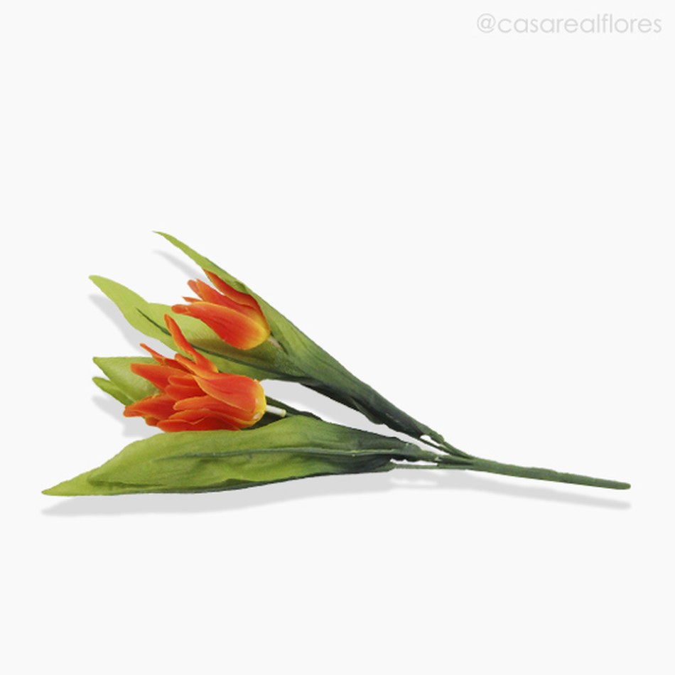 Imagem 2 do produto Buquê Mini Tulipa - Laranja (10782)