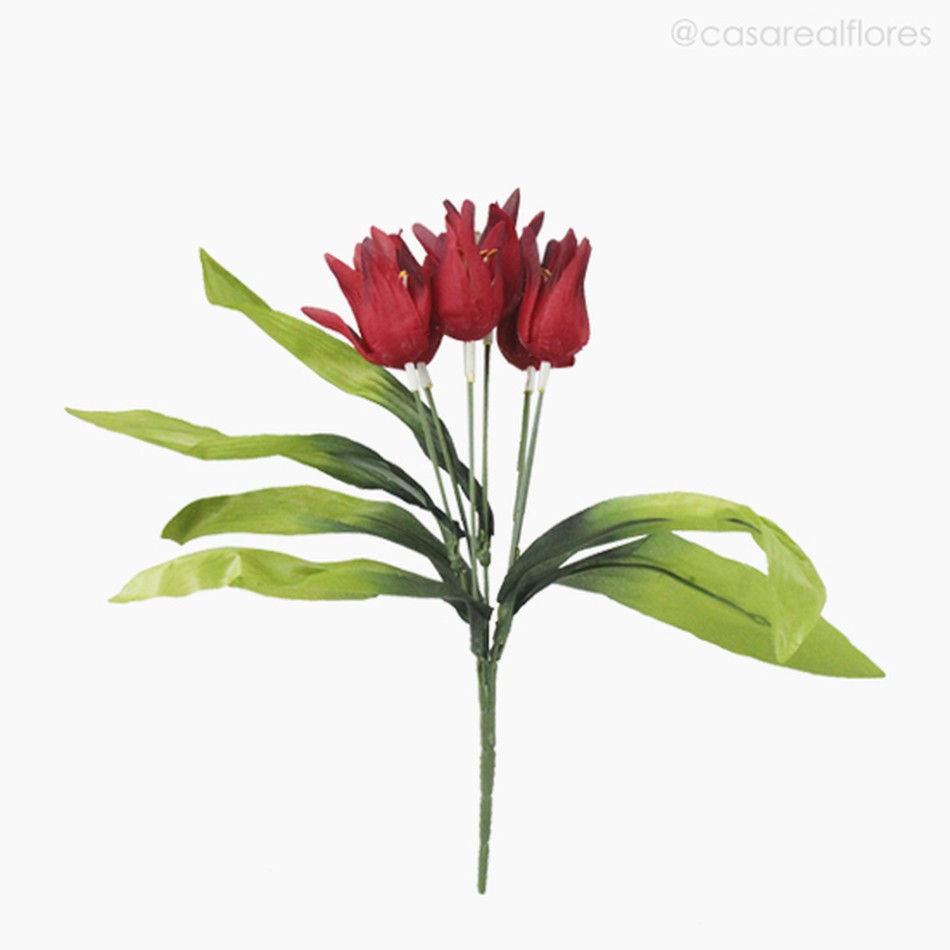 Imagem 1 do produto Buquê Mini Tulipa - Vermelho (10781)