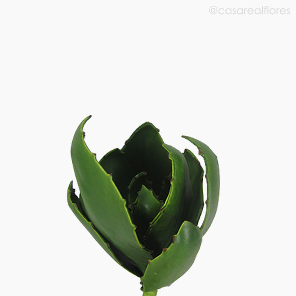 Imagem 4 do produto Suculento Aloe 27cm Artificial (11617)