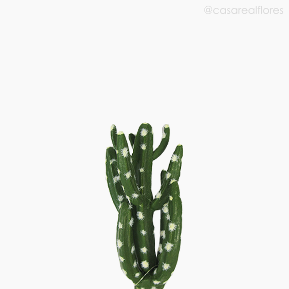 Imagem 3 do produto Cactus Artificial (11634)
