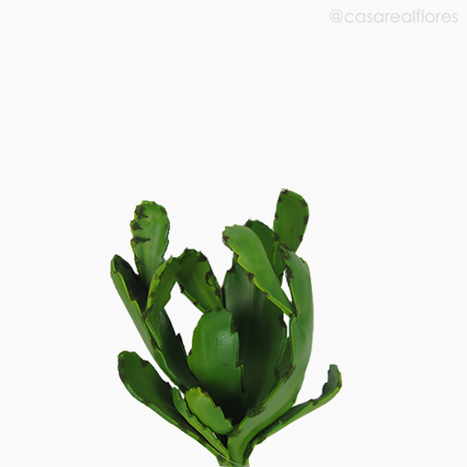 Imagem 4 do produto Suculento Aloe 28cm Artificial (11615)