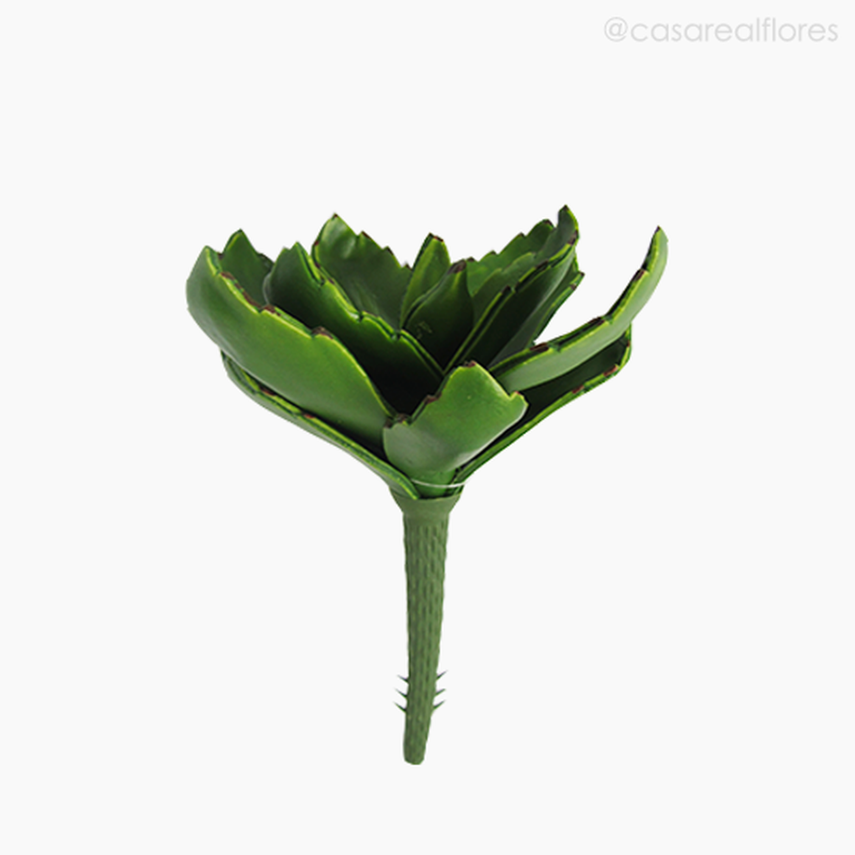 Imagem 1 do produto Suculento Aloe 22cm Artificial (11616)