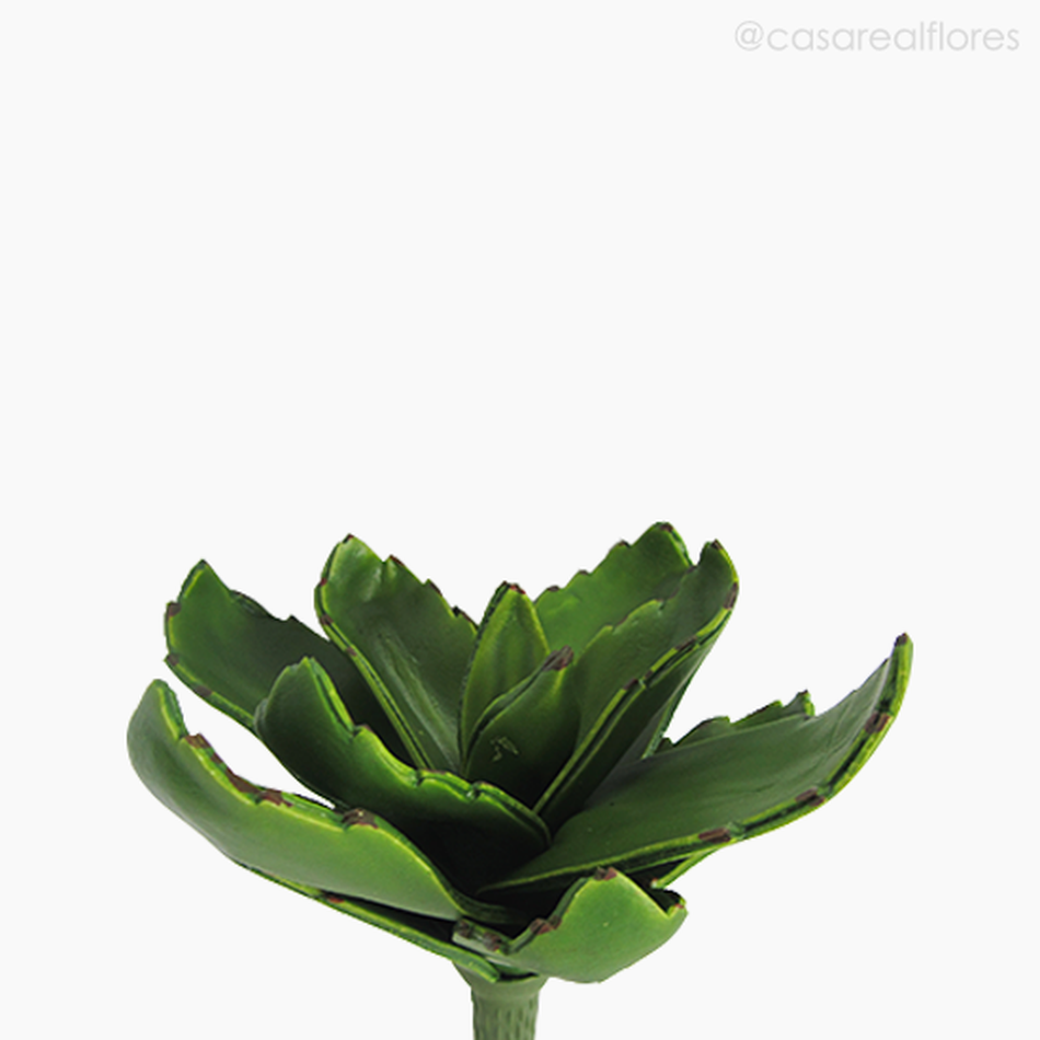 Imagem 2 do produto Suculento Aloe 22cm Artificial (11616)