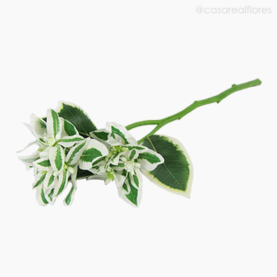 Imagem 3 do produto Galho Euphorbia Marginata - Verde (9416)