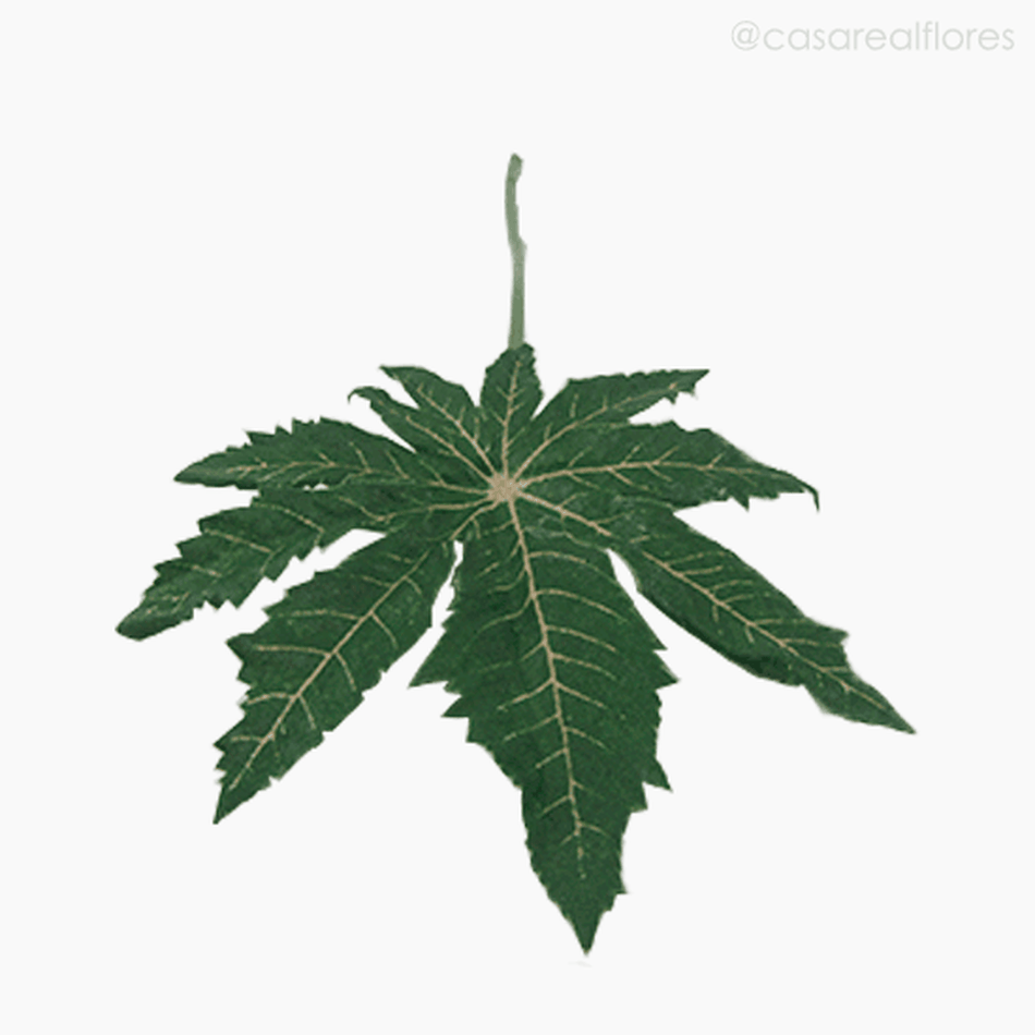 Imagem 4 do produto Mini Ricinus Leaf - Verde (9907)