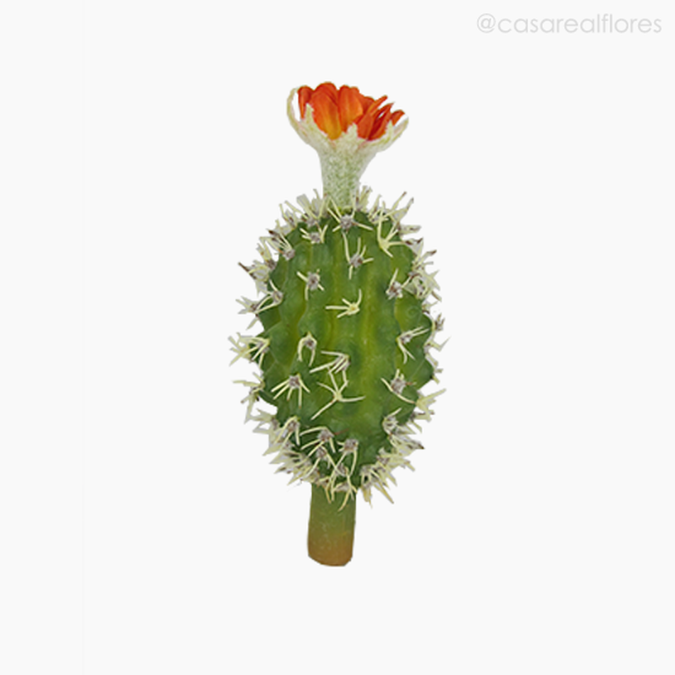 Imagem 1 do produto Cactus com Flor Artificial - Cores Mistas (4878)