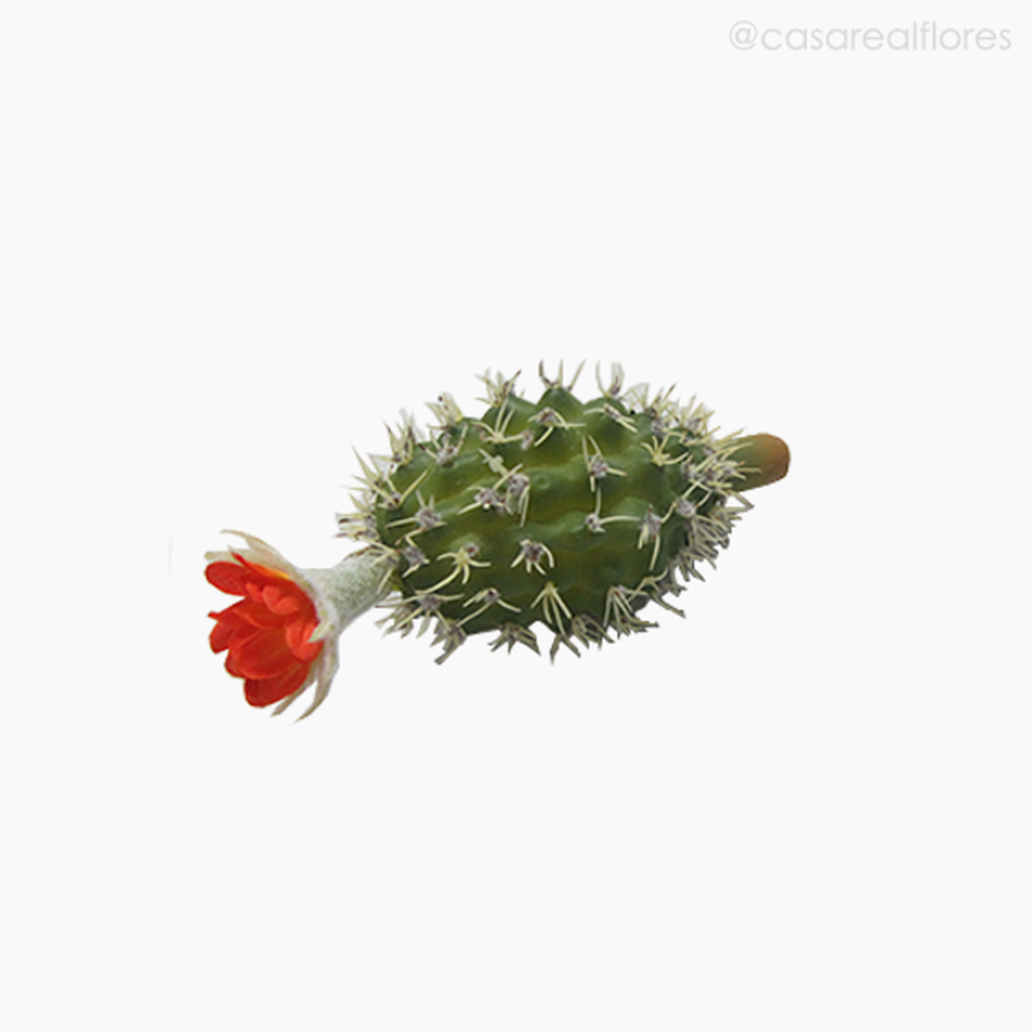 Imagem 2 do produto Cactus com Flor Artificial - Cores Mistas (4878)