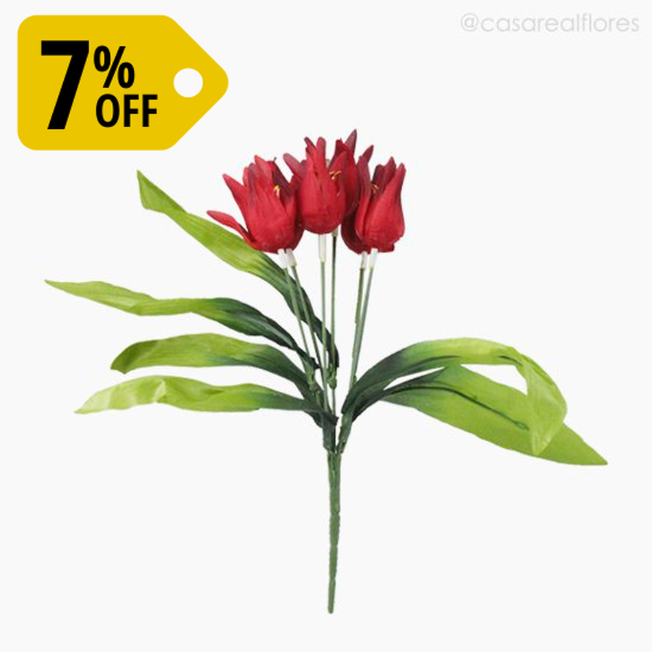 Imagem 1 do produto Buquê Mini Tulipa - Vermelho (200755) BOX C/ 24