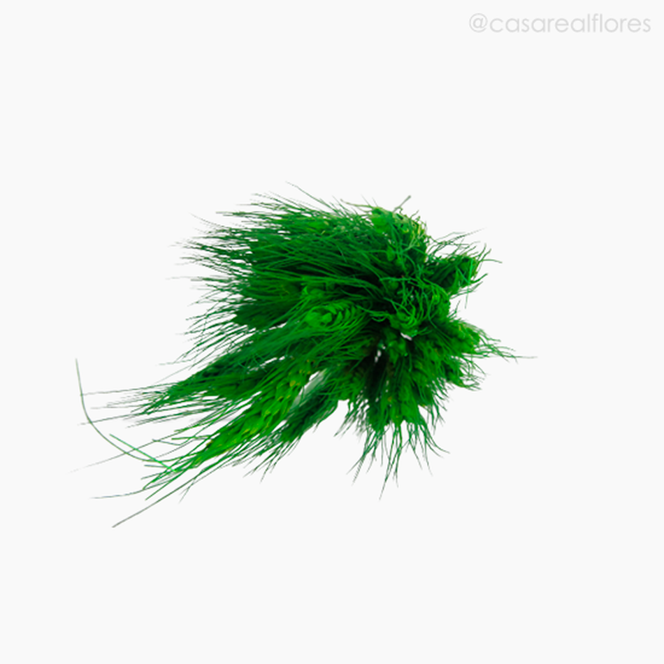 Imagem 5 do produto Trigo Colorido Seco - Verde Claro (1116410)