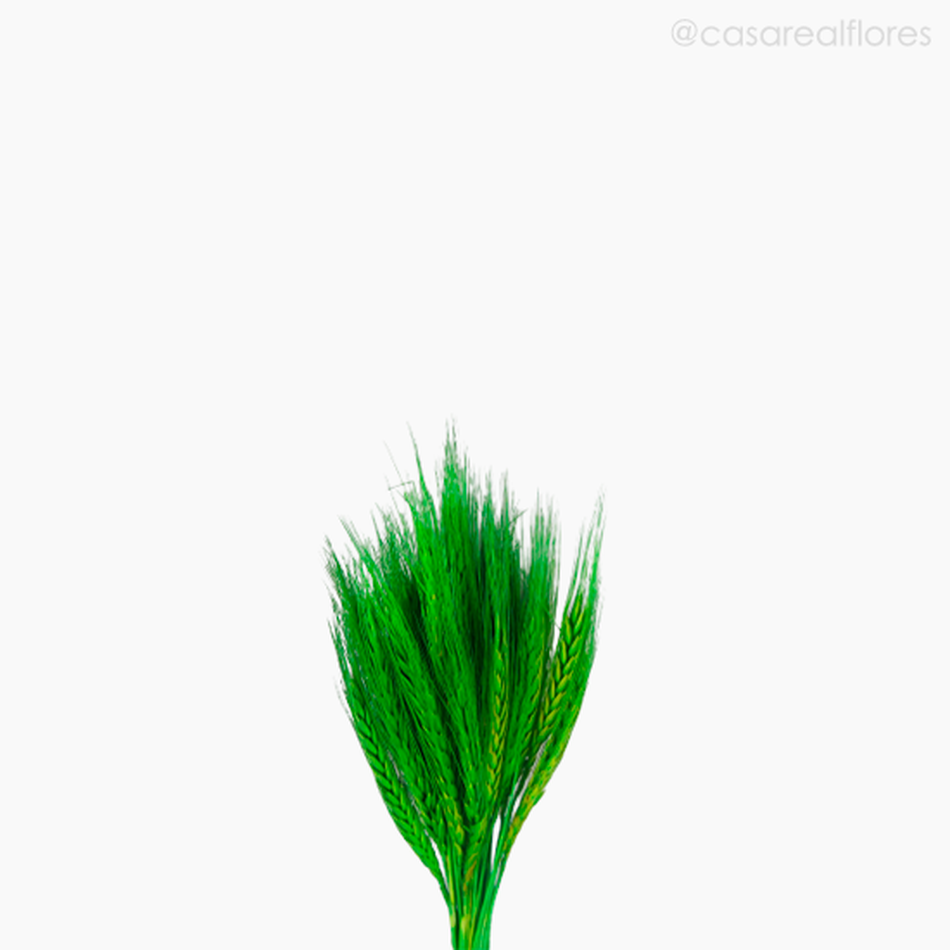 Imagem 3 do produto Trigo Colorido Seco - Verde Claro (1116410)