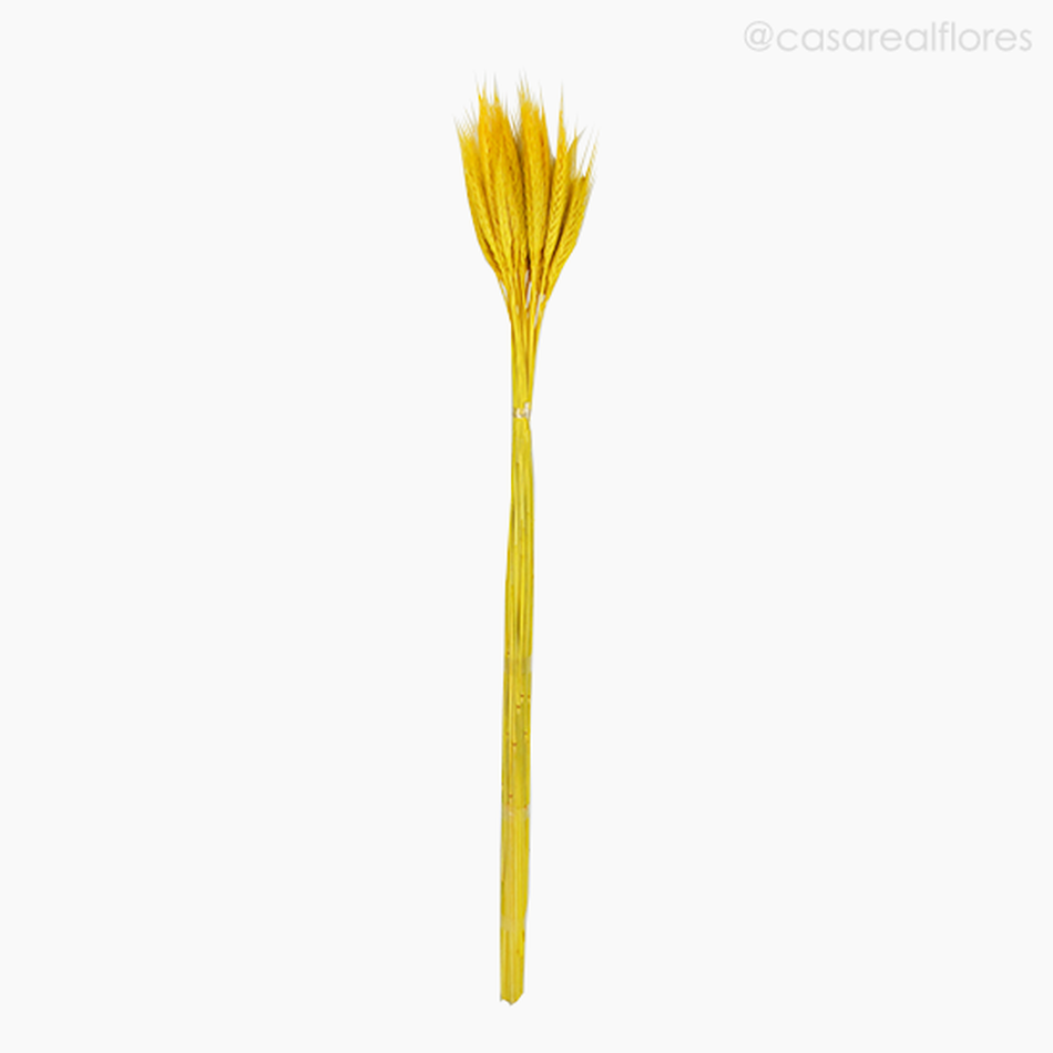 Imagem 1 do produto Trigo Colorido Seco - Amarelo (01116412)