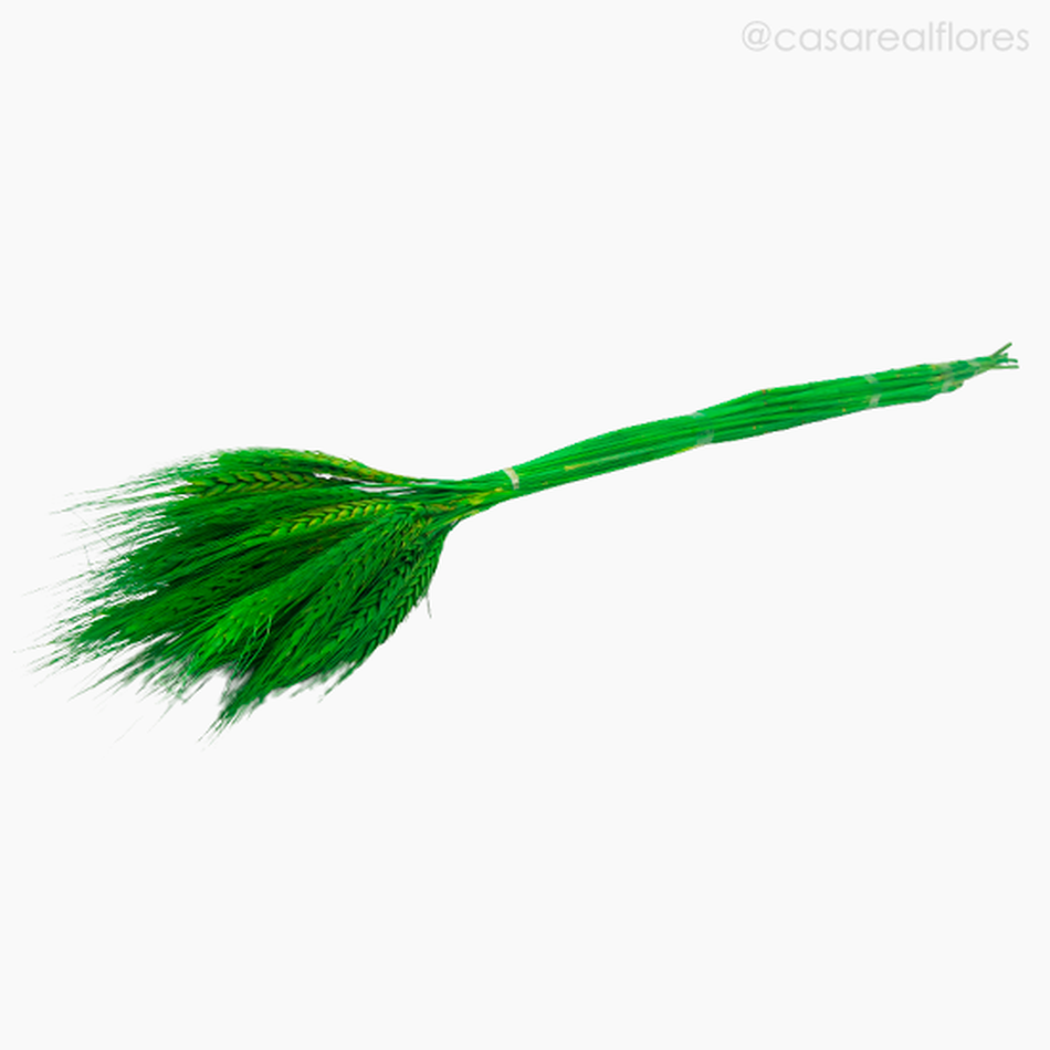 Imagem 4 do produto Trigo Colorido Seco - Verde Claro (1116410)
