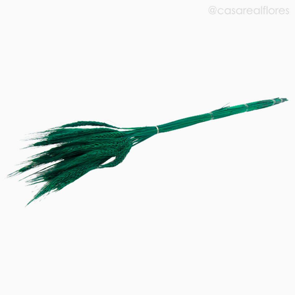 Imagem 4 do produto Trigo Colorido Seco - Verde Escuro (01116410)