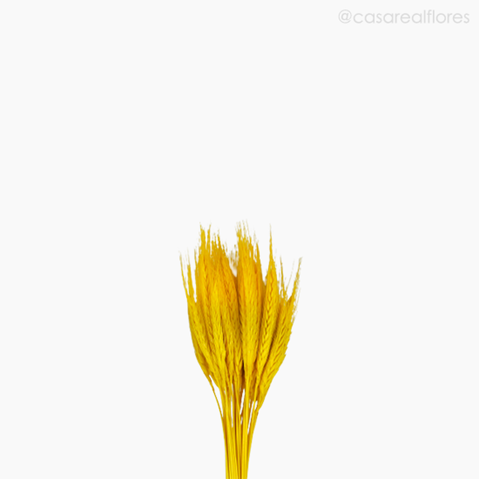Imagem 3 do produto Trigo Colorido Seco - Amarelo (01116412)