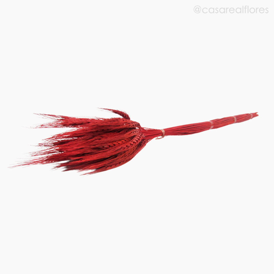 Imagem 4 do produto Trigo Colorido Seco - Vermelho (0111646)