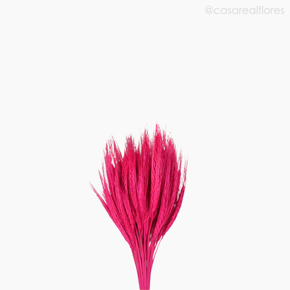 Imagem 3 do produto Trigo Colorido Seco - Rosa Escuro (0111648)