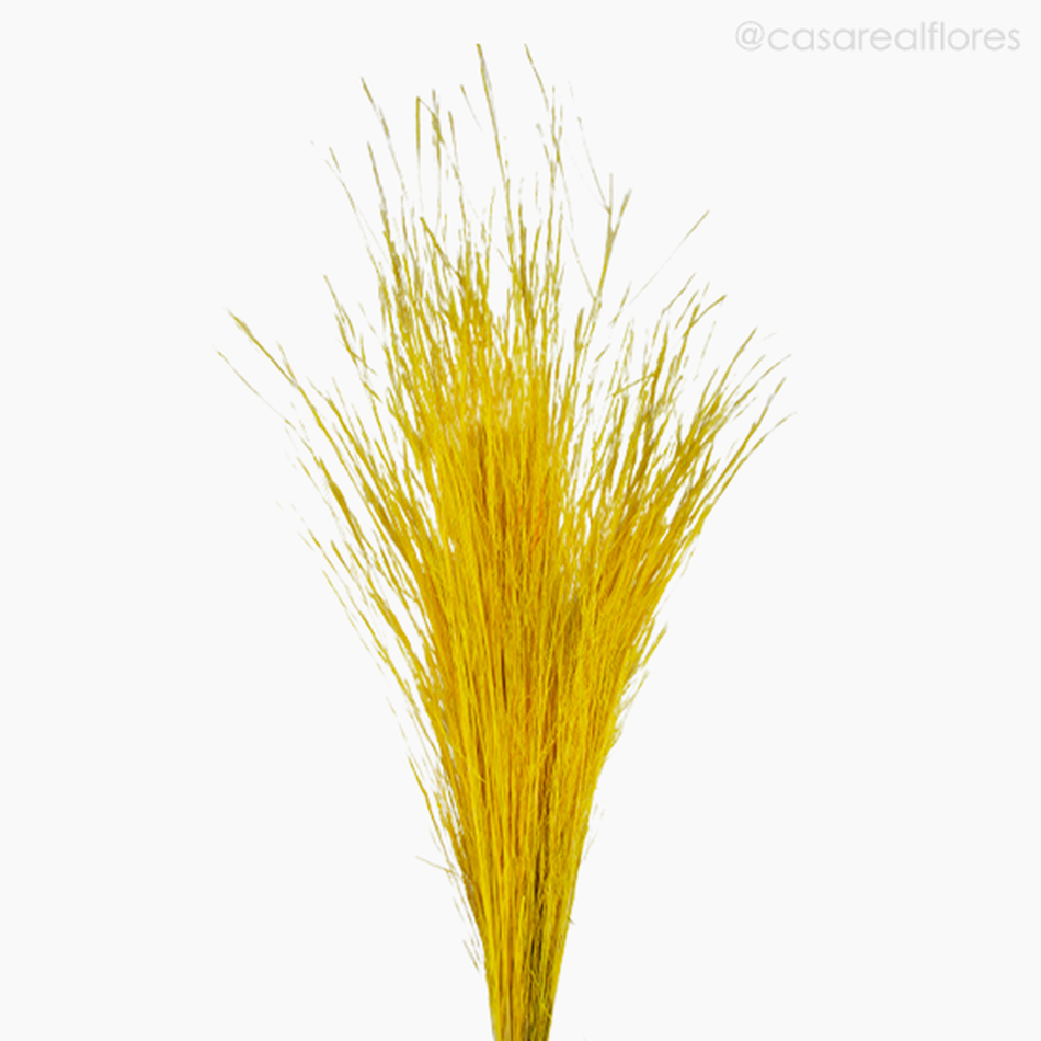 Imagem 3 do produto Capim Brilhante Seco - Amarelo (1193712)