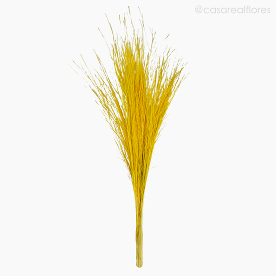 Imagem 1 do produto Capim Brilhante Seco - Amarelo (1193712)