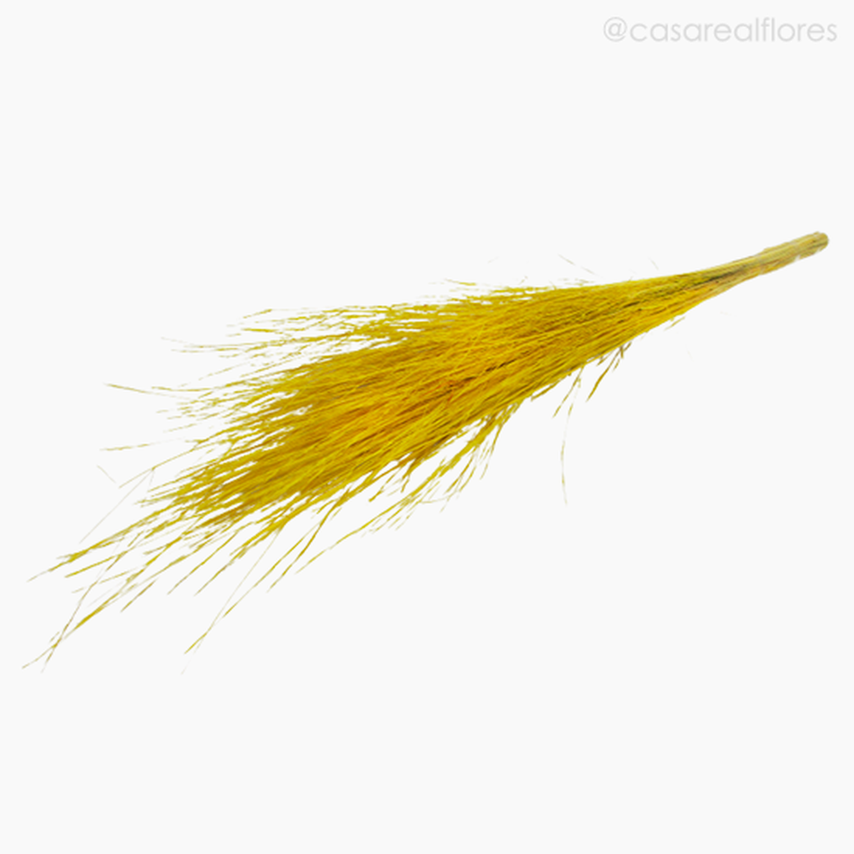 Imagem 4 do produto Capim Brilhante Seco - Amarelo (1193712)