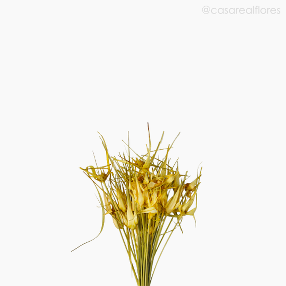 Imagem 3 do produto Capim Estrela Seco - Amarelo (01201712)