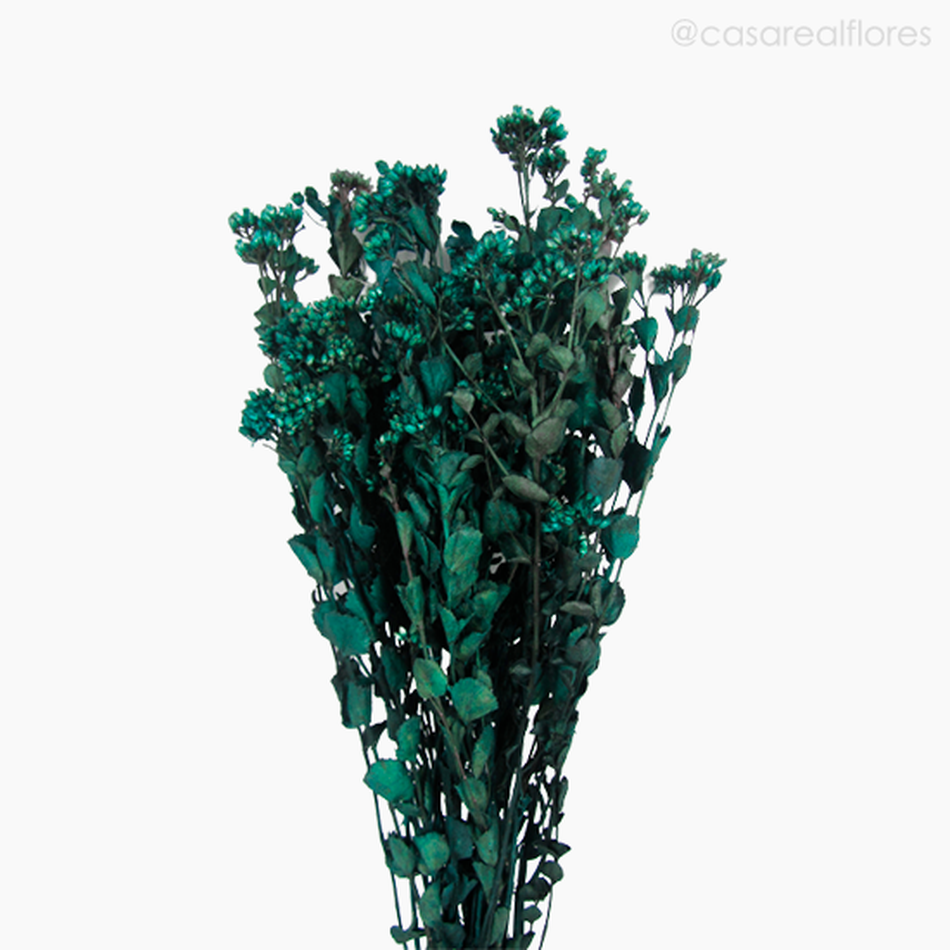 Imagem 3 do produto Chuvisco Seco - Verde Escuro (01202010)