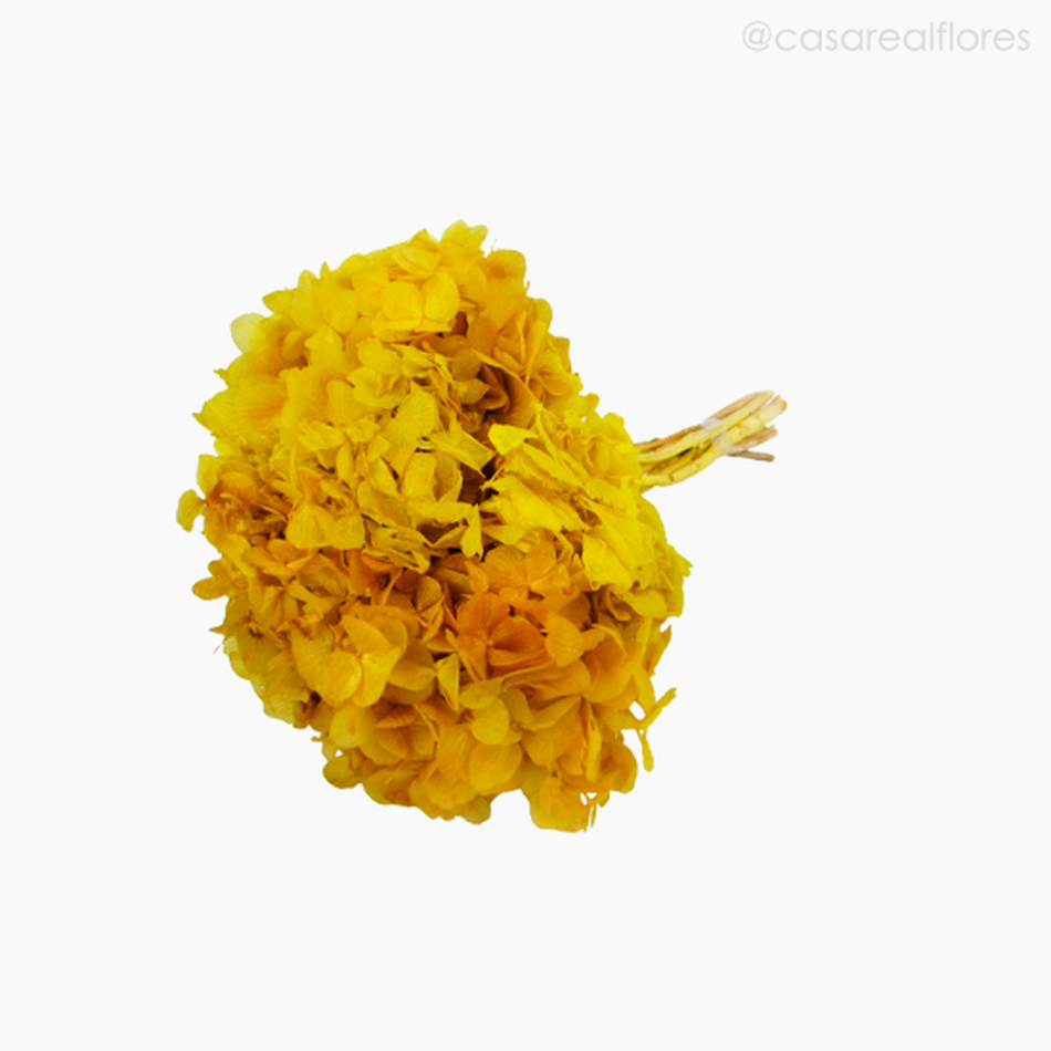 Imagem 4 do produto Buquê de Hortênsia Seca - Amarelo (01201512)