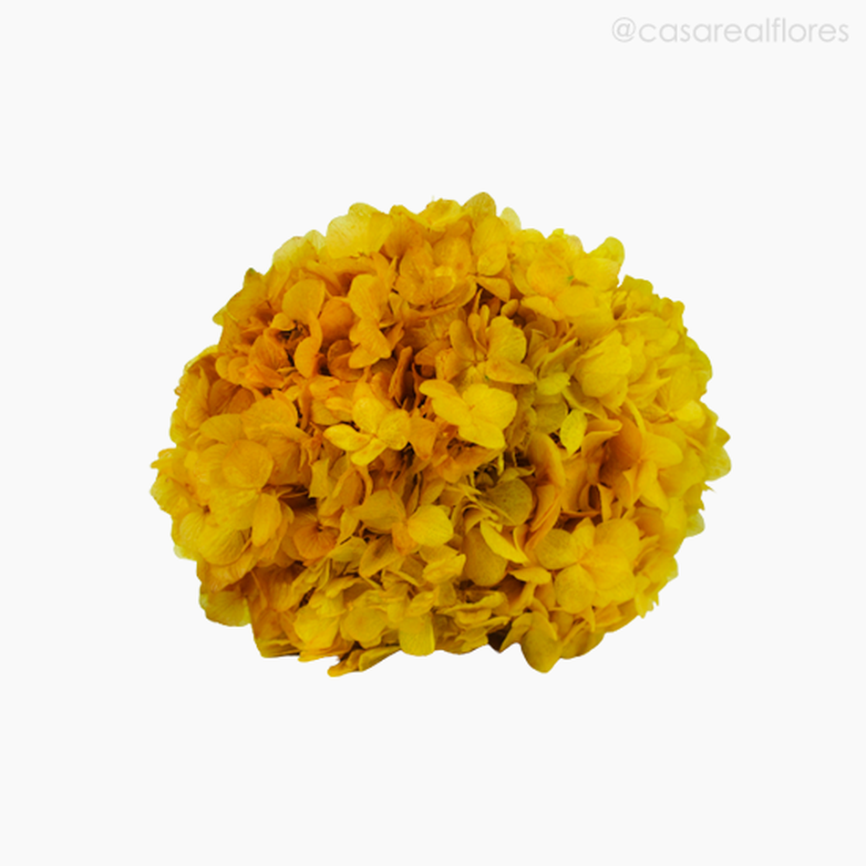 Imagem 5 do produto Buquê de Hortênsia Seca - Amarelo (01201512)
