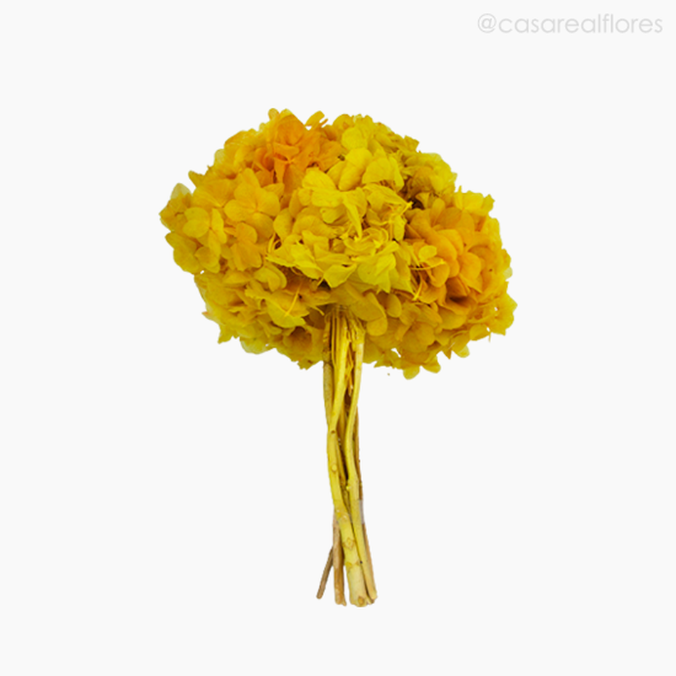 Imagem 1 do produto Buquê de Hortênsia Seca - Amarelo (01201512)