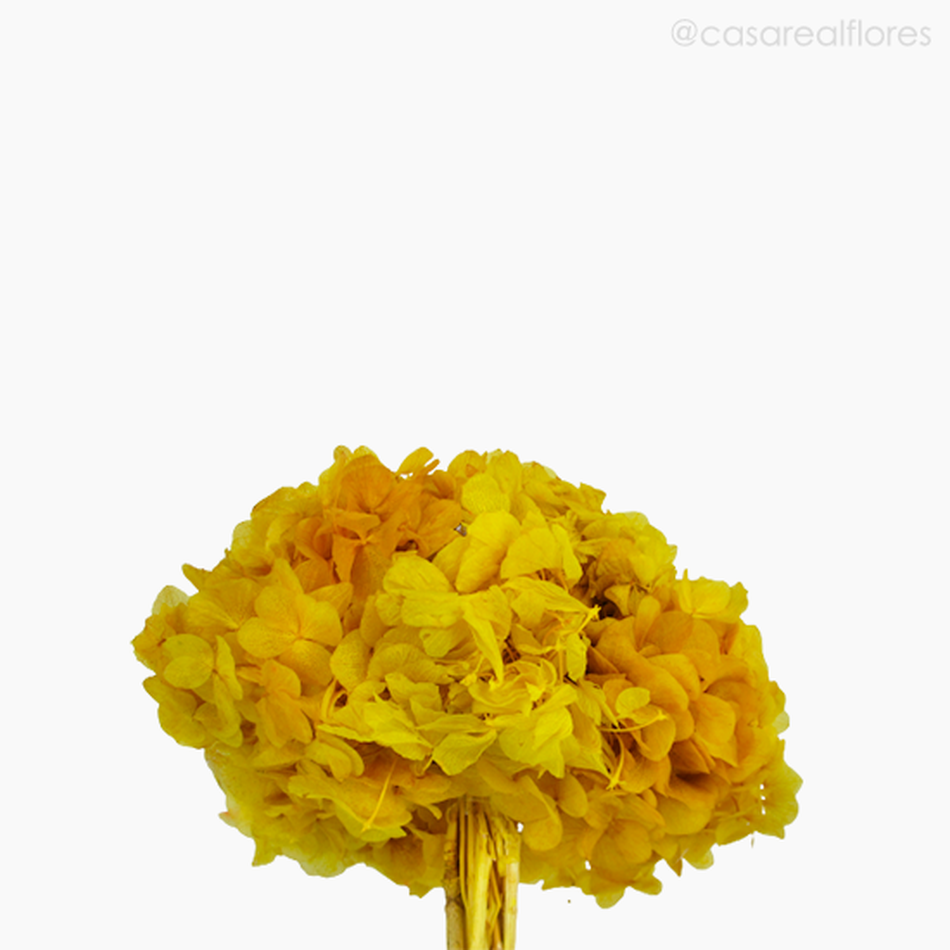 Imagem 3 do produto Buquê de Hortênsia Seca - Amarelo (01201512)