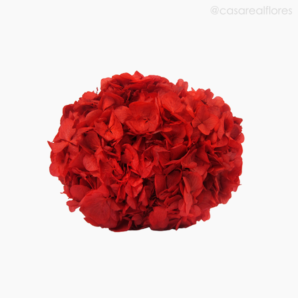 Imagem 5 do produto Buquê de Hortênsia Seca - Vermelho (0120156)