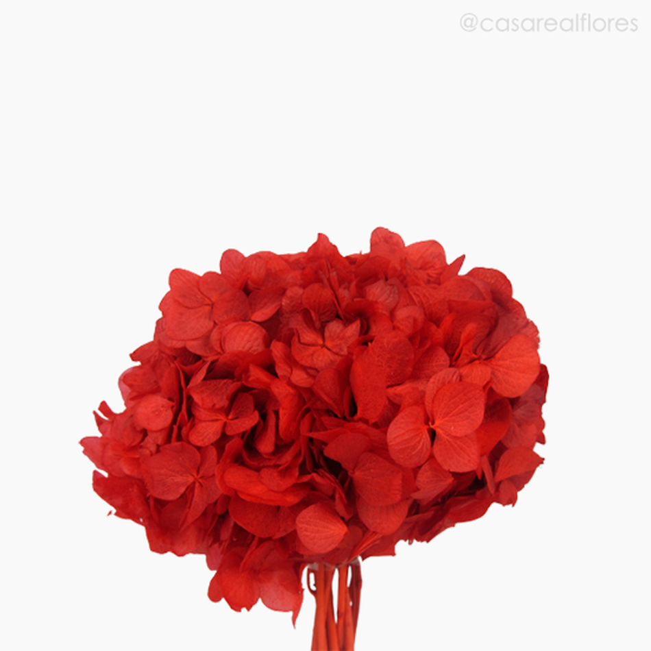 Imagem 3 do produto Buquê de Hortênsia Seca - Vermelho (0120156)
