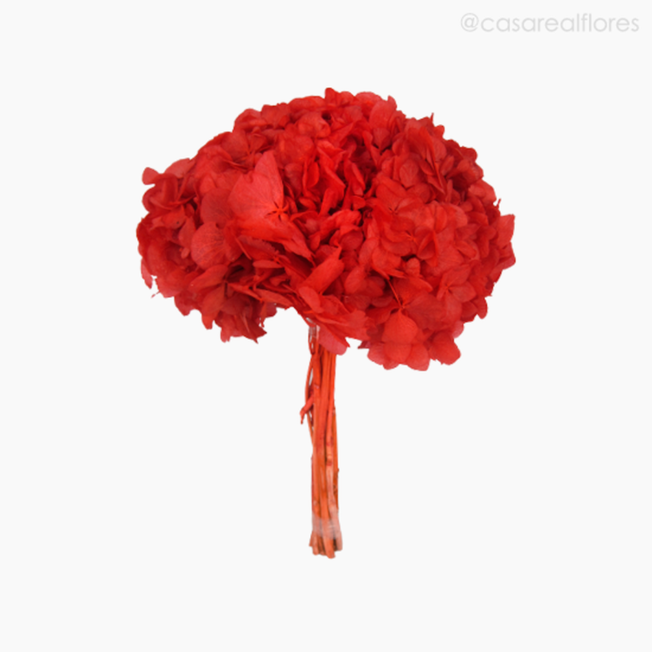 Imagem 1 do produto Buquê de Hortênsia Seca - Vermelho (0120156)