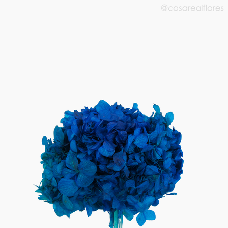 Imagem 4 do produto Buquê de Hortênsia Seca - Azul Escuro (0120159)