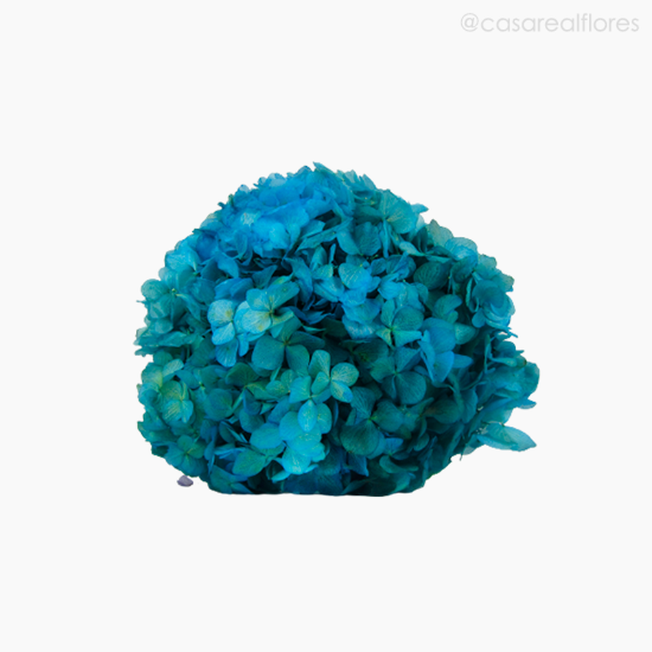 Imagem 5 do produto Buquê de Hortênsia Seca - Azul Claro (120159)