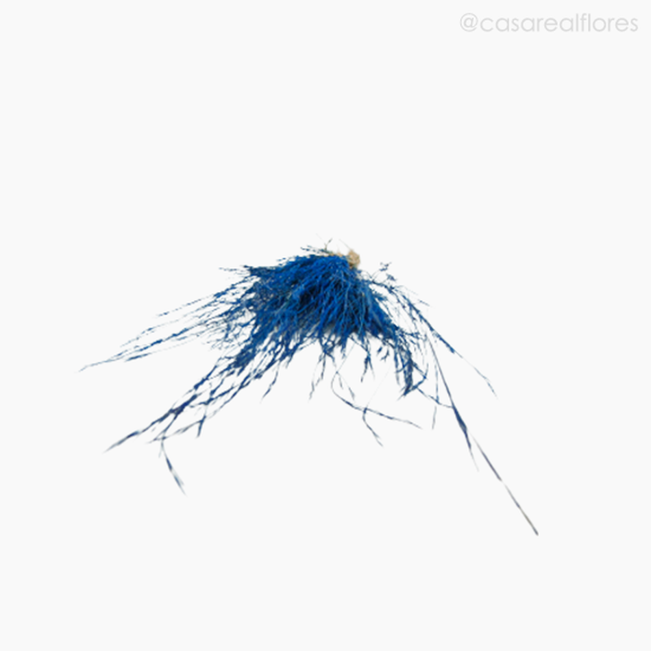 Imagem 5 do produto Capim Brilhante Seco - Azul (0119379)