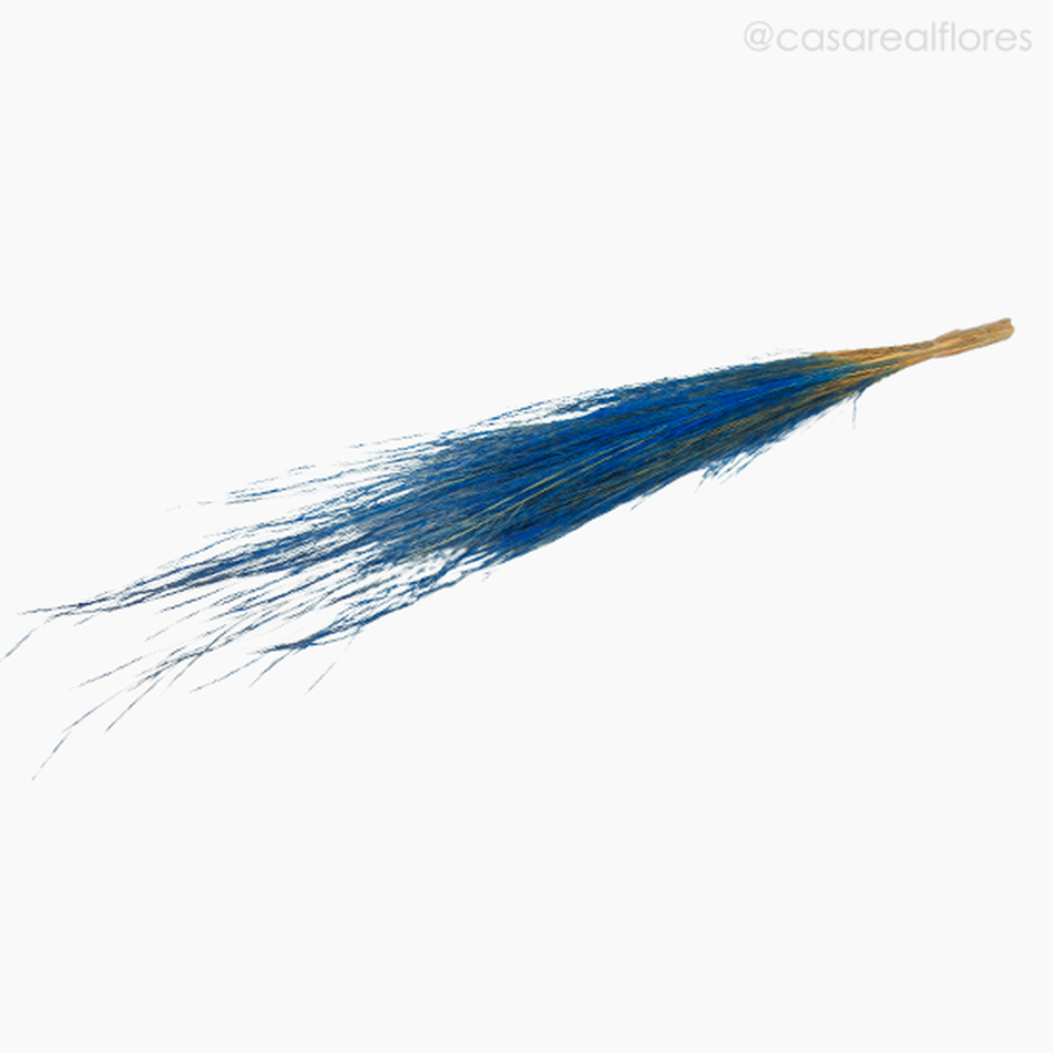 Imagem 4 do produto Capim Brilhante Seco - Azul (0119379)