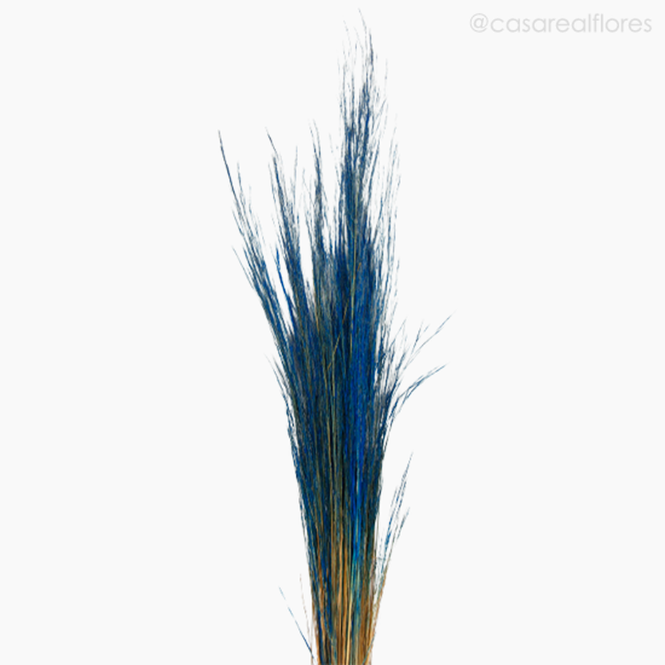 Imagem 3 do produto Capim Brilhante Seco - Azul (0119379)