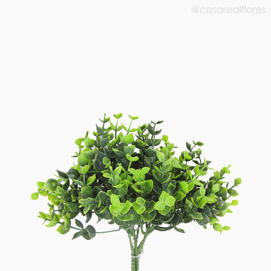 Imagem 3 do produto Mini Galho Eucalyptus Pick C/6 Com Pó Artificial - Verde (3973)