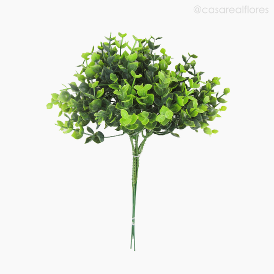 Imagem 1 do produto Mini Galho Eucalyptus Pick C/6 Com Pó Artificial - Verde (3973)