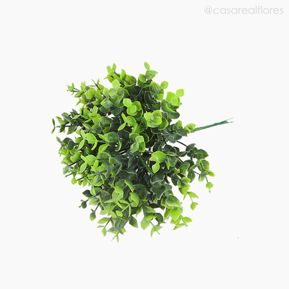 Imagem 4 do produto Mini Galho Eucalyptus Pick C/6 Com Pó Artificial - Verde (3973)
