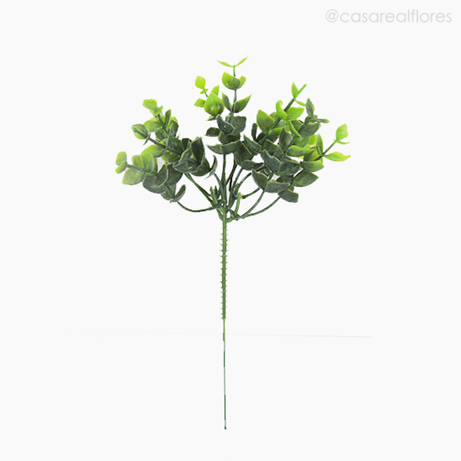 Imagem 2 do produto Mini Galho Eucalyptus Pick C/6 Com Pó Artificial - Verde (3973)