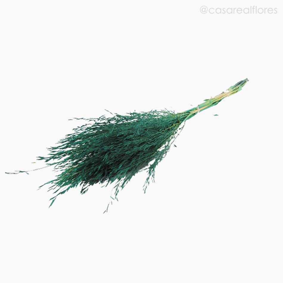 Imagem 4 do produto Capim Chorão Colorido Seco - Verde (01204710)