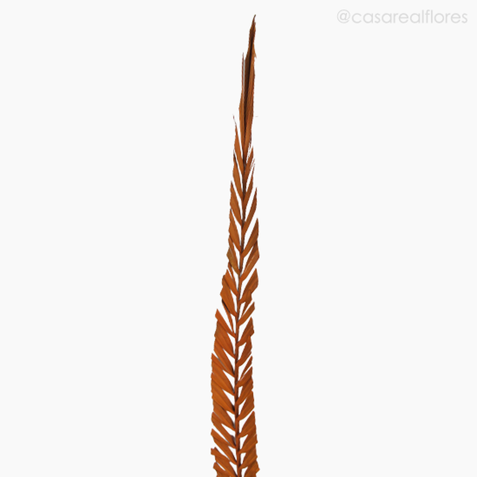 Imagem 3 do produto Palmeira Natural Seca - Laranja (0120167)