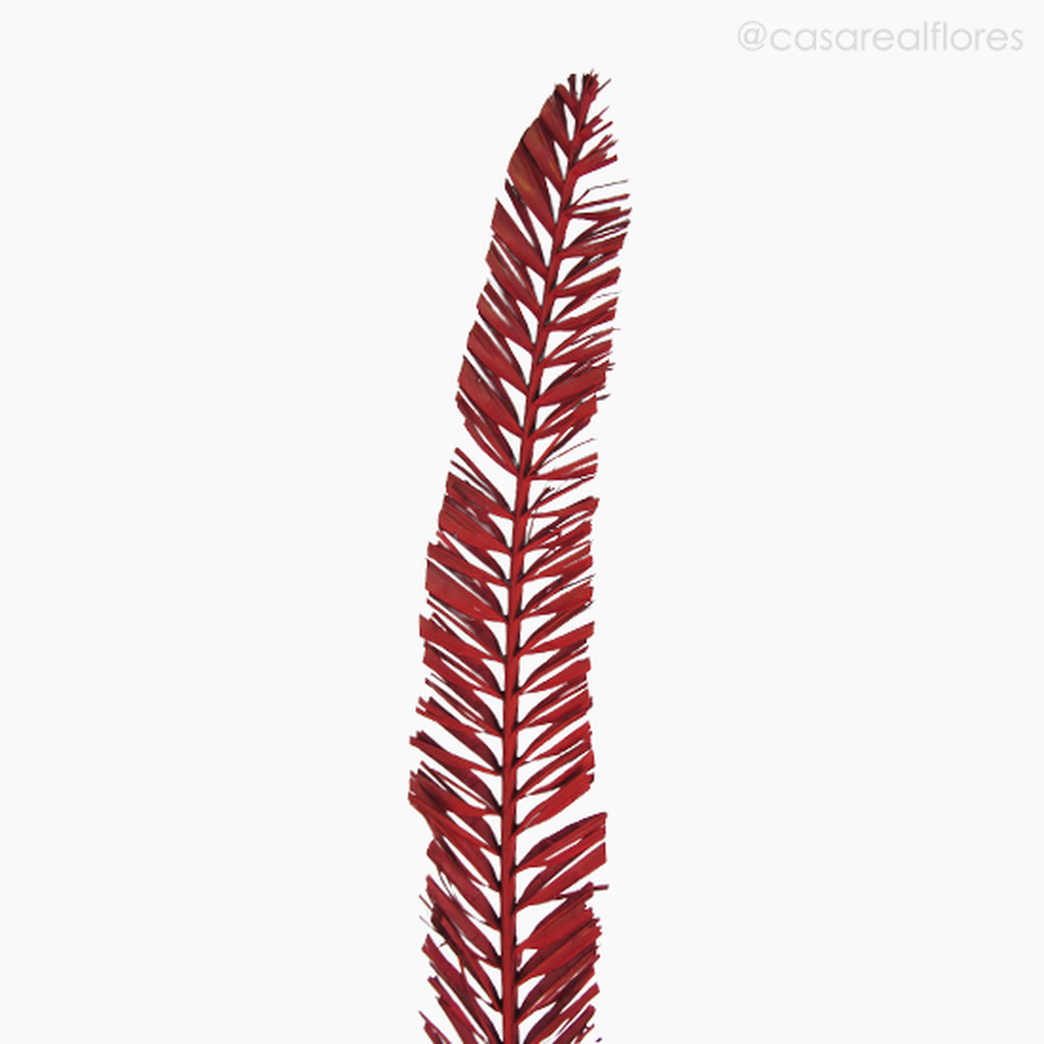 Imagem 3 do produto Palmeira Natural Seca - Vermelho (0120166)