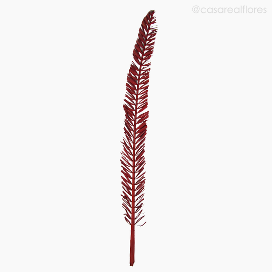 Imagem 1 do produto Palmeira Natural Seca - Vermelho (0120166)