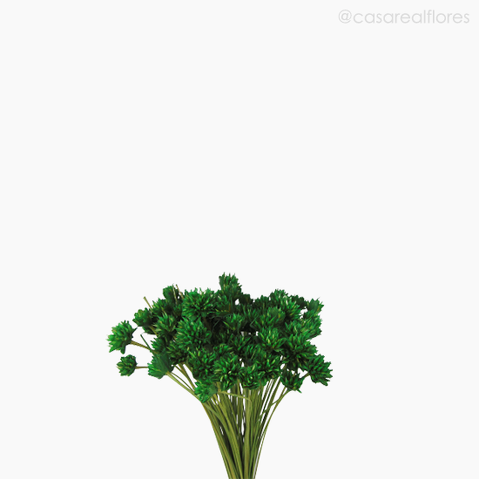 Imagem 3 do produto Flor Seca Espeta Nariz - Verde Escuro (01121810)